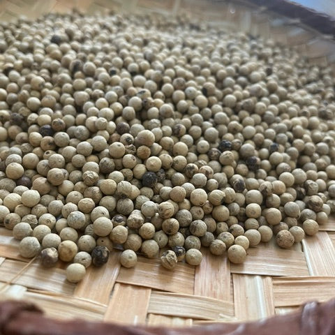 Poivre blanc naturel de Madagascar, sélection de qualité supérieure 